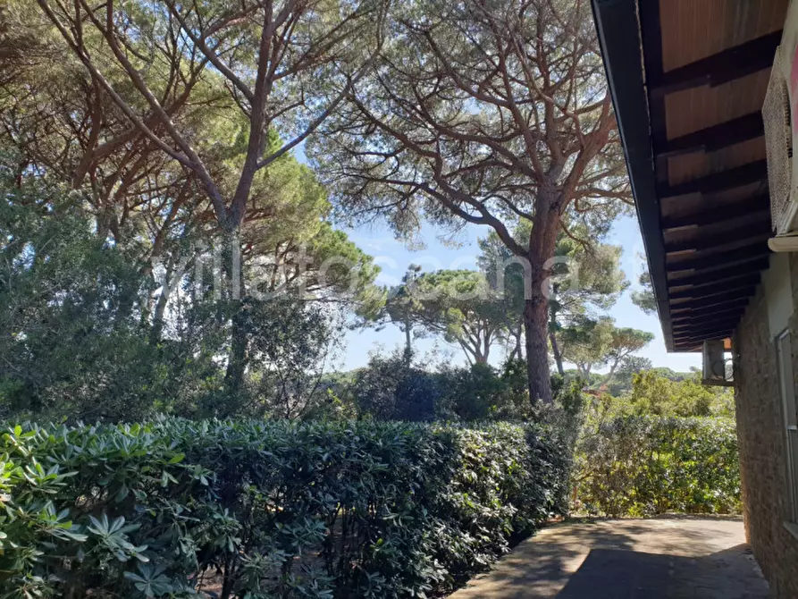 Immagine 7 di Villa in vendita  a Castiglione Della Pescaia