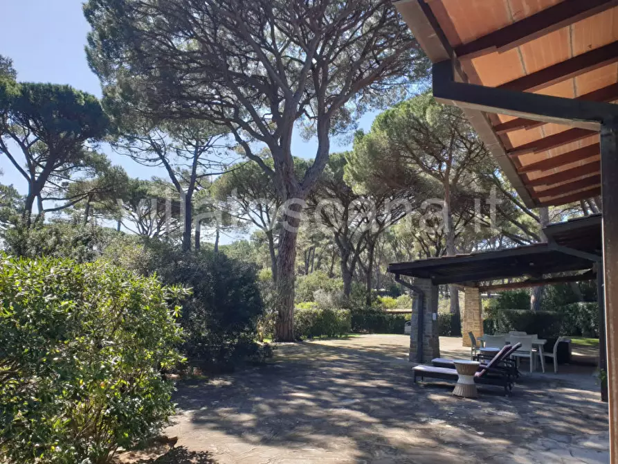 Immagine 8 di Villa in vendita  a Castiglione Della Pescaia