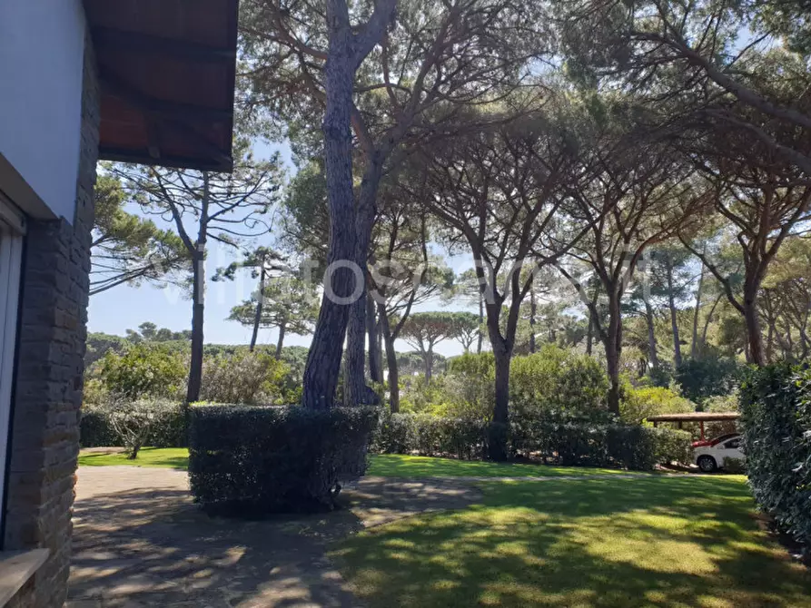 Immagine 9 di Villa in vendita  a Castiglione Della Pescaia
