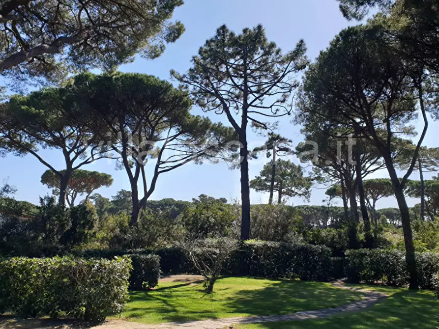 Immagine 10 di Villa in vendita  a Castiglione Della Pescaia