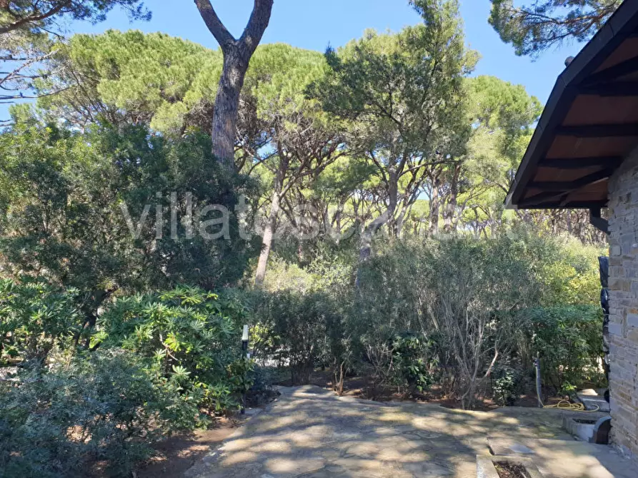 Immagine 11 di Villa in vendita  a Castiglione Della Pescaia