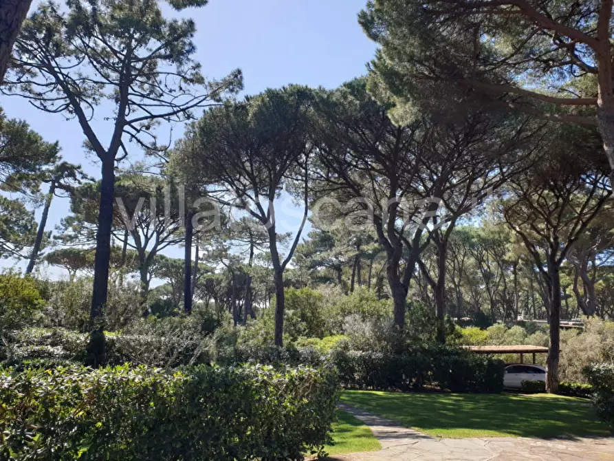 Immagine 16 di Villa in vendita  a Castiglione Della Pescaia