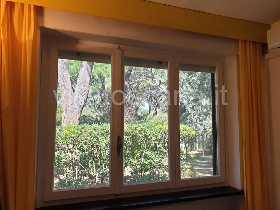 Immagine 36 di Villa in vendita  a Castiglione Della Pescaia