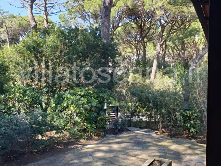Immagine 38 di Villa in vendita  a Castiglione Della Pescaia