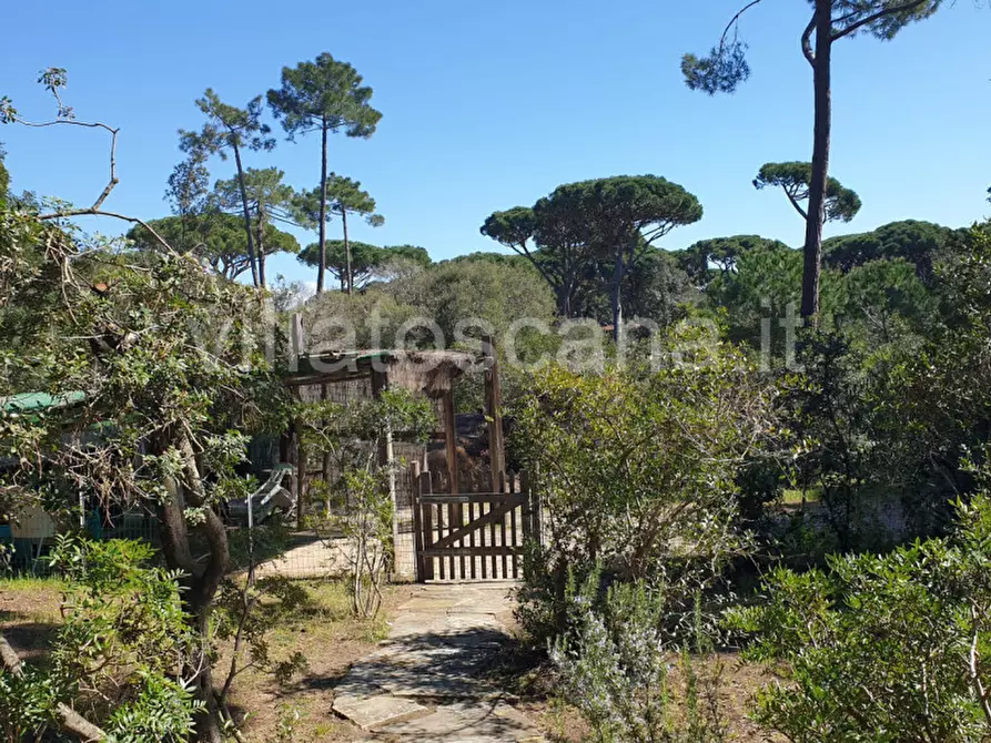 Immagine 42 di Villa in vendita  a Castiglione Della Pescaia