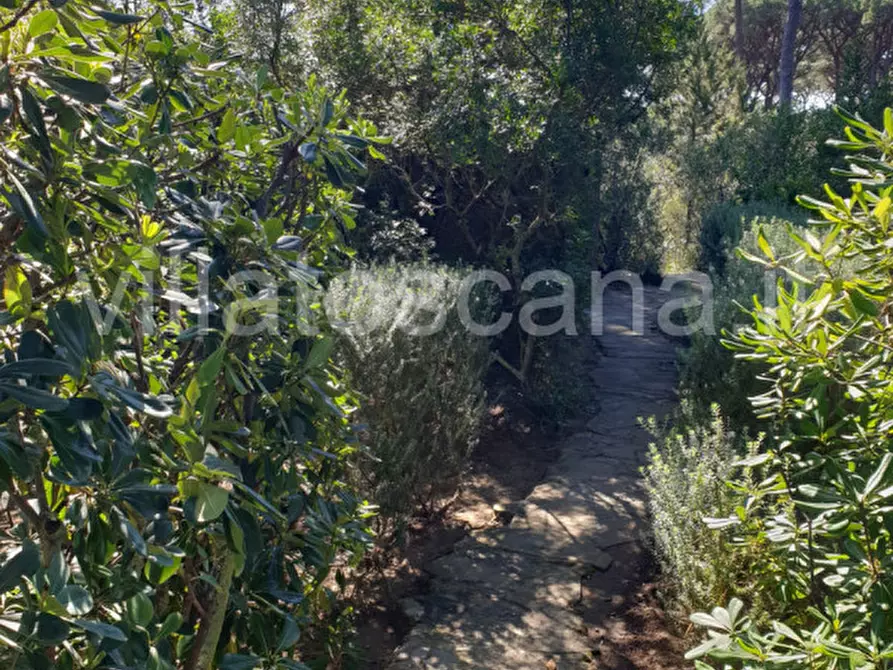 Immagine 45 di Villa in vendita  a Castiglione Della Pescaia