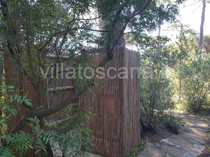 Immagine 46 di Villa in vendita  a Castiglione Della Pescaia