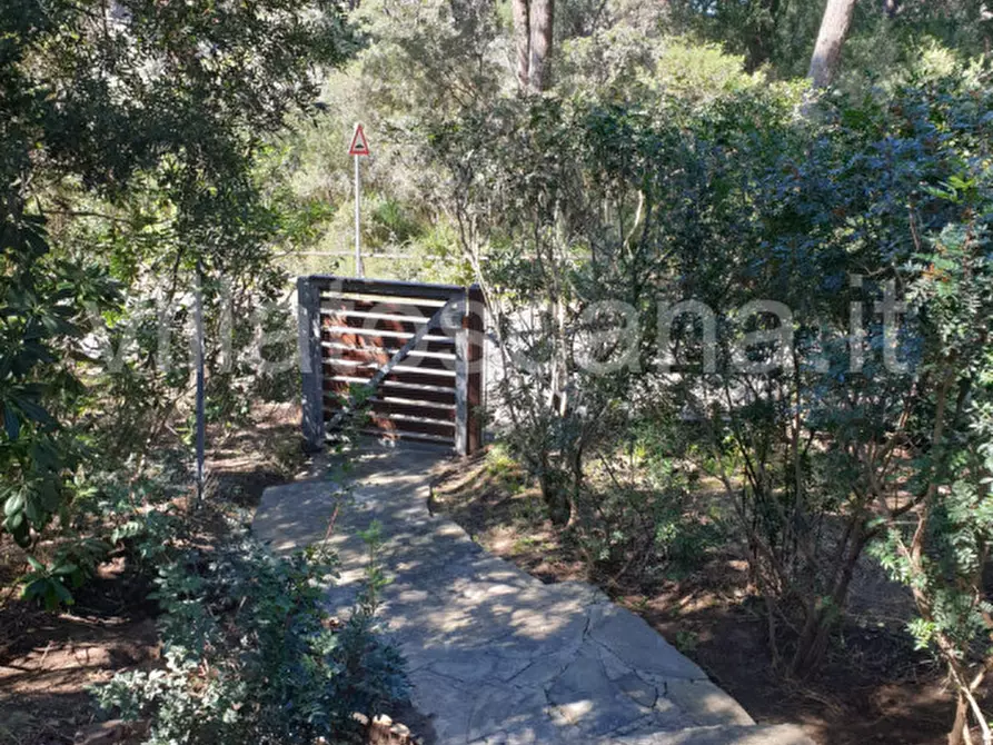 Immagine 47 di Villa in vendita  a Castiglione Della Pescaia