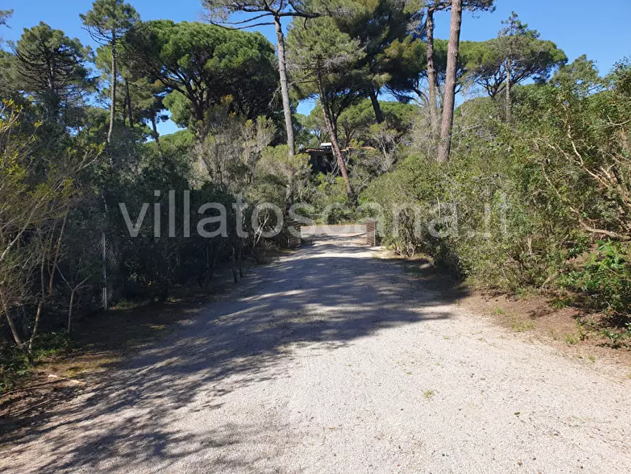 Immagine 51 di Villa in vendita  a Castiglione Della Pescaia