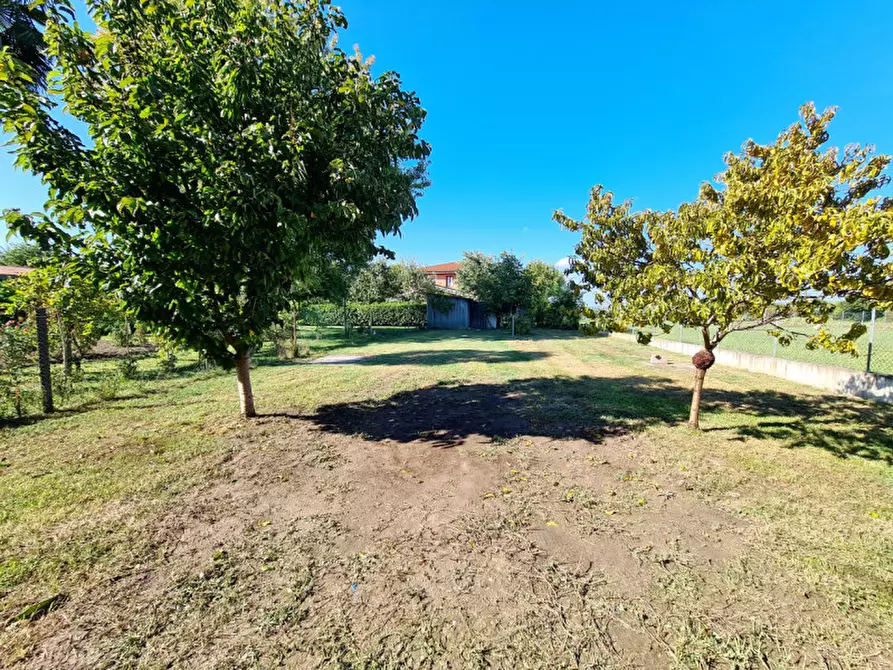 Immagine 20 di Casa bifamiliare in vendita  in VIA PESCARA a Borgo Veneto