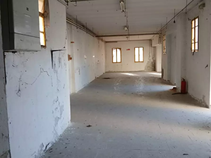 Immagine 7 di Rustico / casale in vendita  in Via Desman a Borgoricco