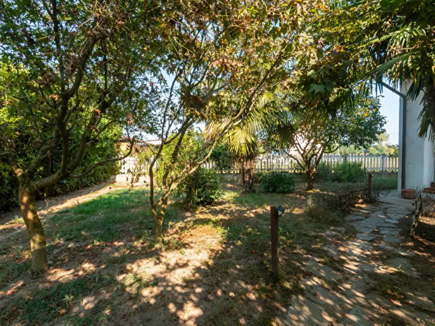 Immagine 7 di Casa indipendente in vendita  in Via Saluggia 148 a Crescentino