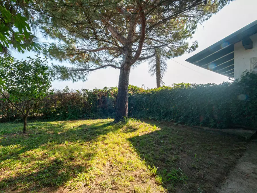 Immagine 49 di Casa indipendente in vendita  in Via Saluggia 148 a Crescentino