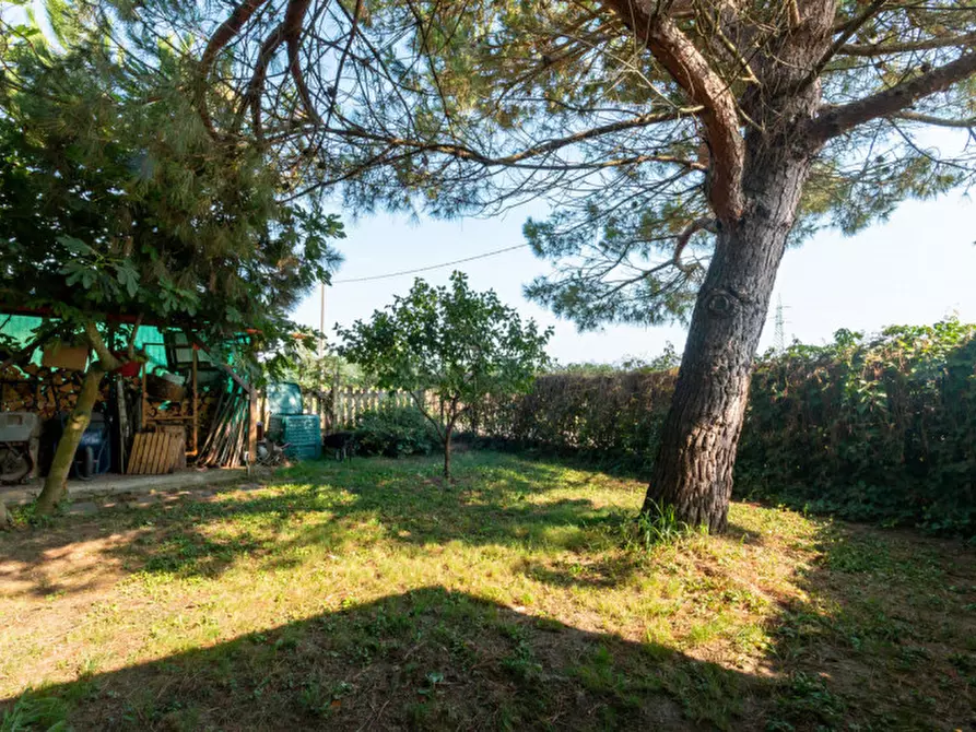 Immagine 50 di Casa indipendente in vendita  in Via Saluggia 148 a Crescentino