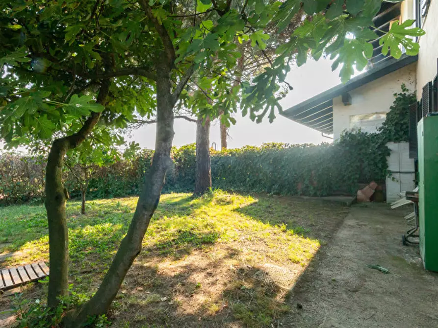 Immagine 51 di Casa indipendente in vendita  in Via Saluggia 148 a Crescentino