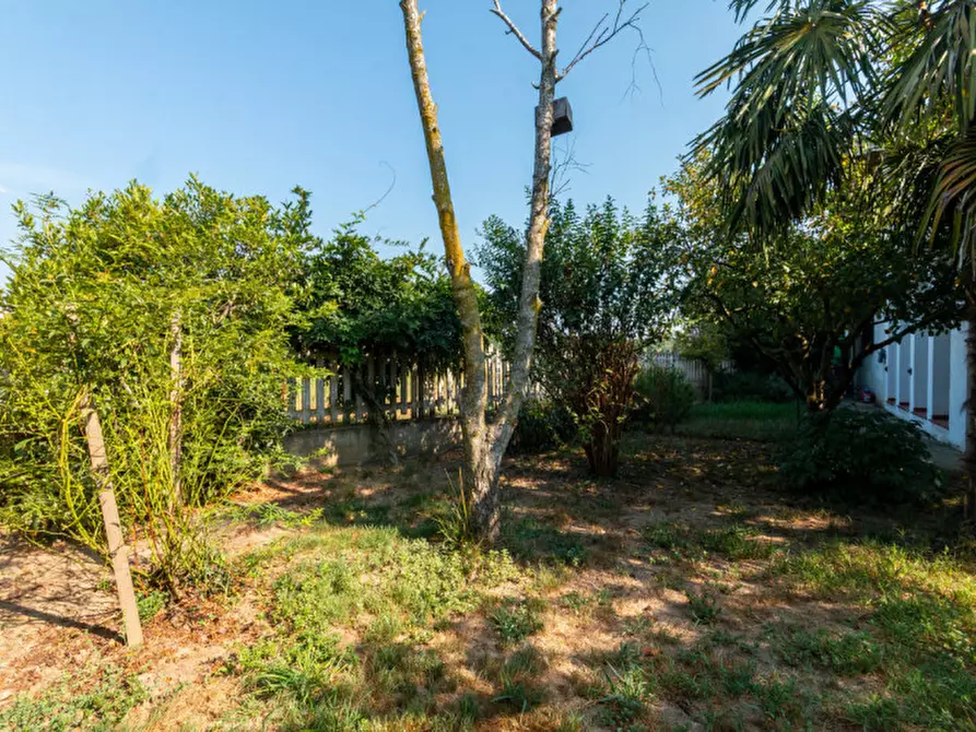 Immagine 54 di Casa indipendente in vendita  in Via Saluggia 148 a Crescentino