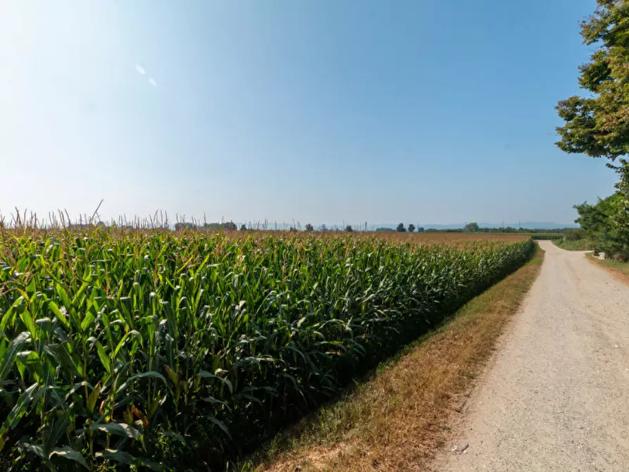 Immagine 55 di Casa indipendente in vendita  in Via Saluggia 148 a Crescentino