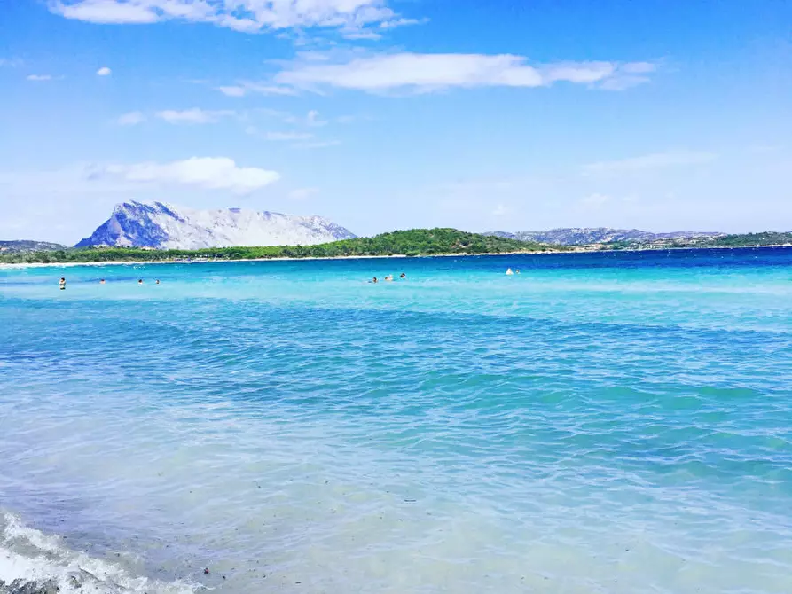 Immagine 1 di Casa bifamiliare in vendita  in miriacheddu 1 a San Teodoro