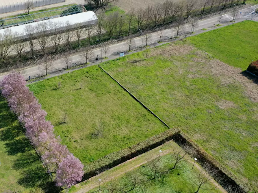 Immagine 7 di Terreno in vendita  in Strada Chiesa di Castelnovo, 120 a Parma