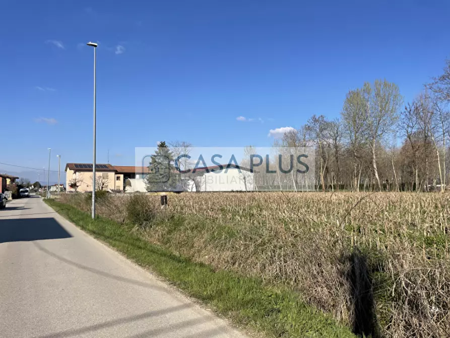 Immagine 1 di Terreno in vendita  in Via Galvanelle a Tombolo