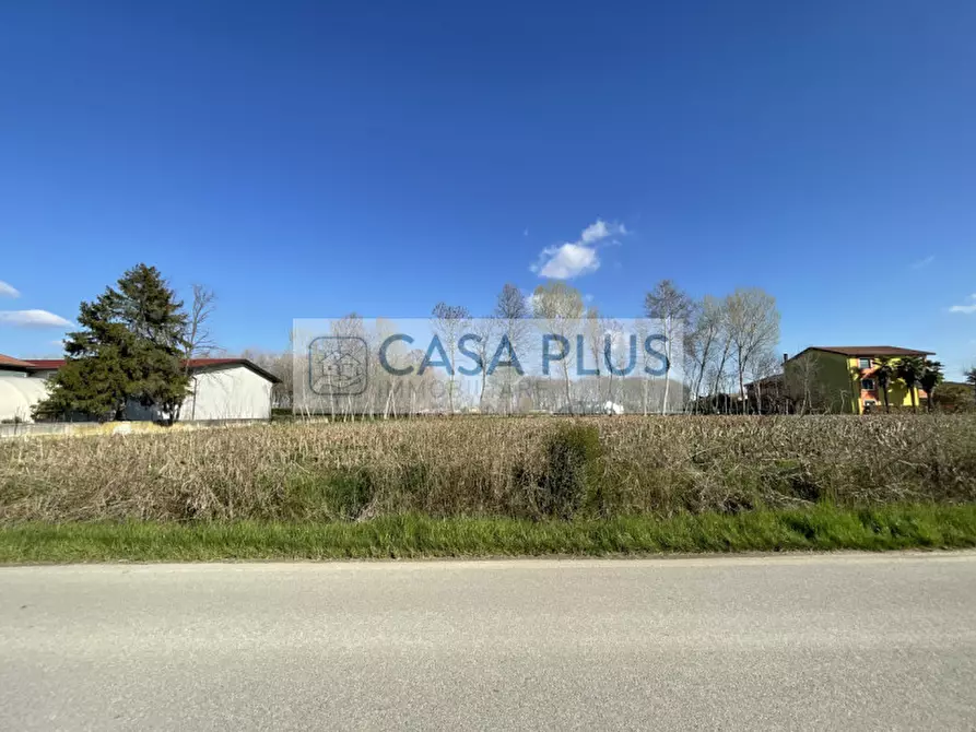 Immagine 2 di Terreno in vendita  in Via Galvanelle a Tombolo