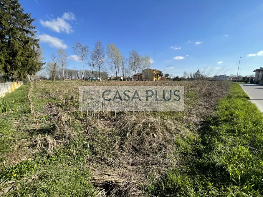 Immagine 3 di Terreno in vendita  in Via Galvanelle a Tombolo