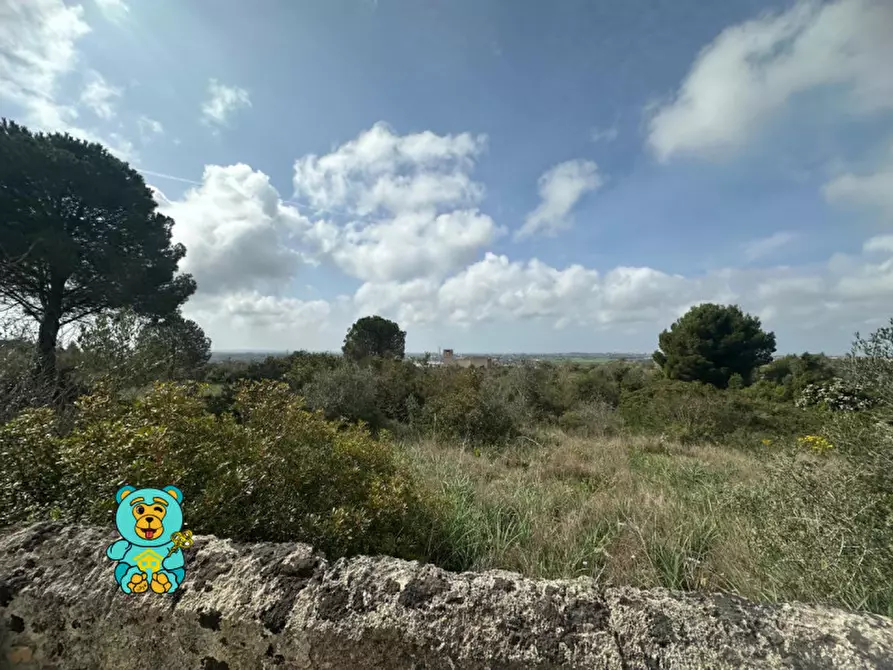 Immagine 1 di Terreno in vendita  in località Rischiazzi a Parabita