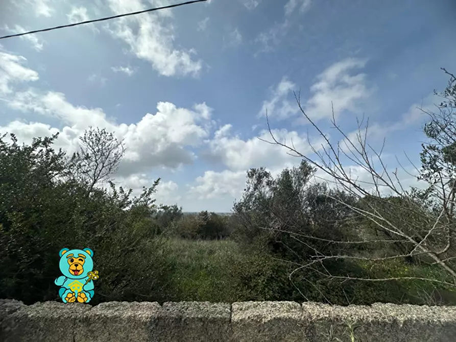 Immagine 3 di Terreno in vendita  in località Rischiazzi a Parabita