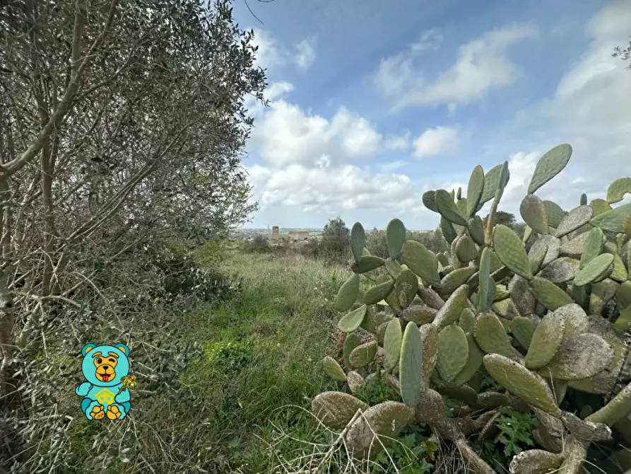 Immagine 4 di Terreno in vendita  in località Rischiazzi a Parabita