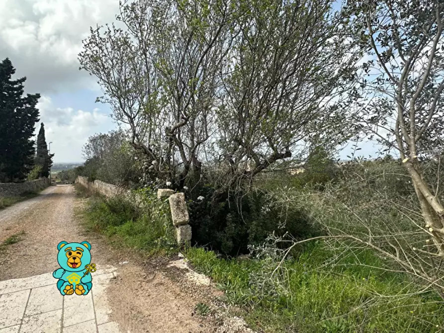 Immagine 5 di Terreno in vendita  in località Rischiazzi a Parabita