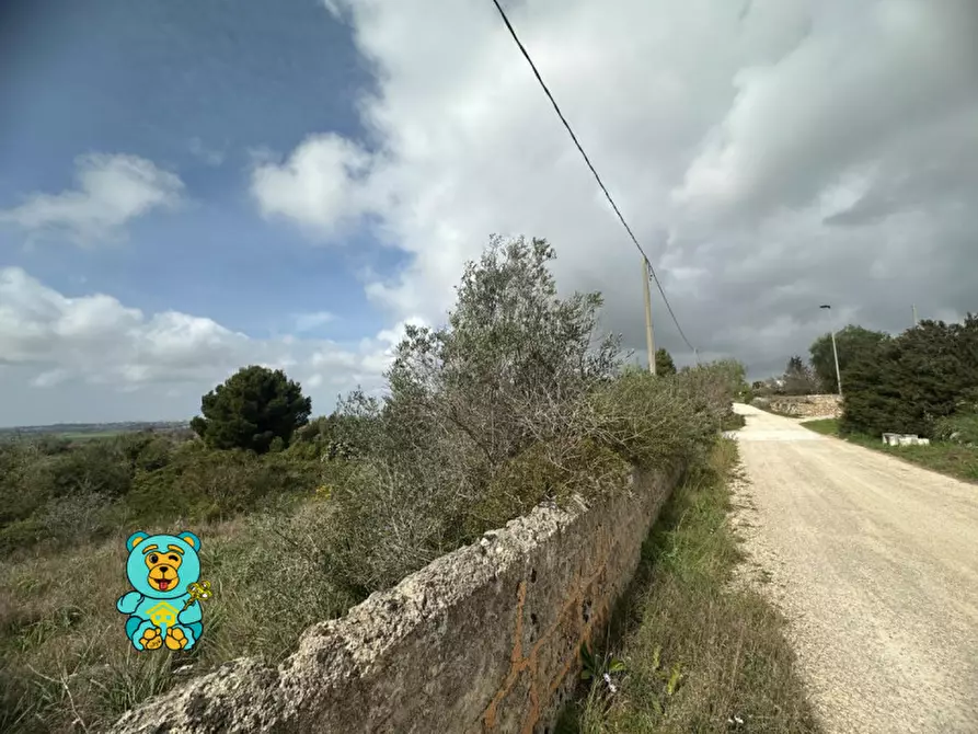 Immagine 11 di Terreno in vendita  in località Rischiazzi a Parabita