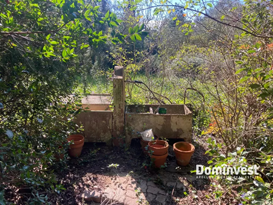 Immagine 2 di Rustico / casale in vendita  in Strada del Trentatré a Capalbio