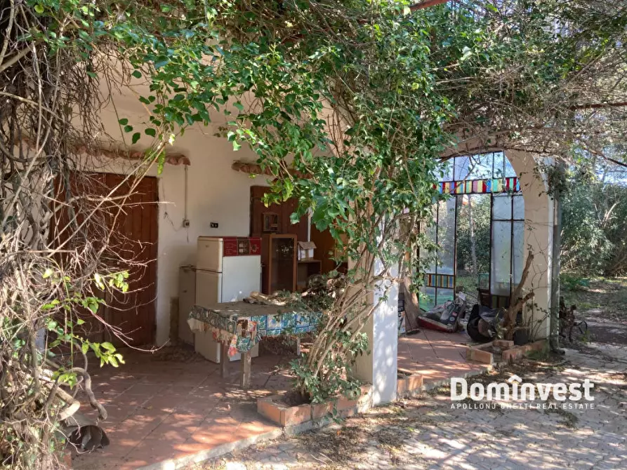 Immagine 3 di Rustico / casale in vendita  in Strada del Trentatré a Capalbio