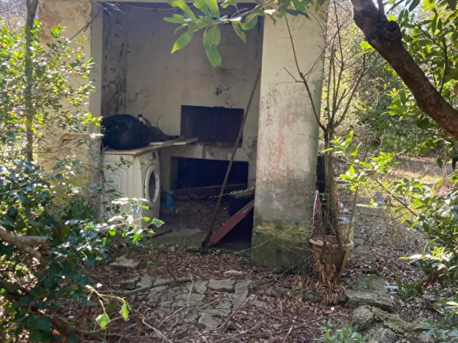 Immagine 6 di Rustico / casale in vendita  in Strada del Trentatré a Capalbio