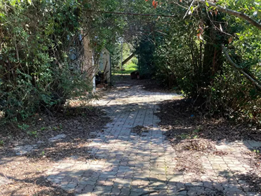 Immagine 7 di Rustico / casale in vendita  in Strada del Trentatré a Capalbio