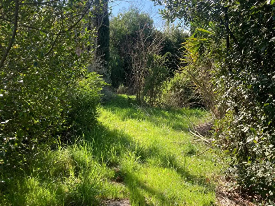 Immagine 11 di Rustico / casale in vendita  in Strada del Trentatré a Capalbio