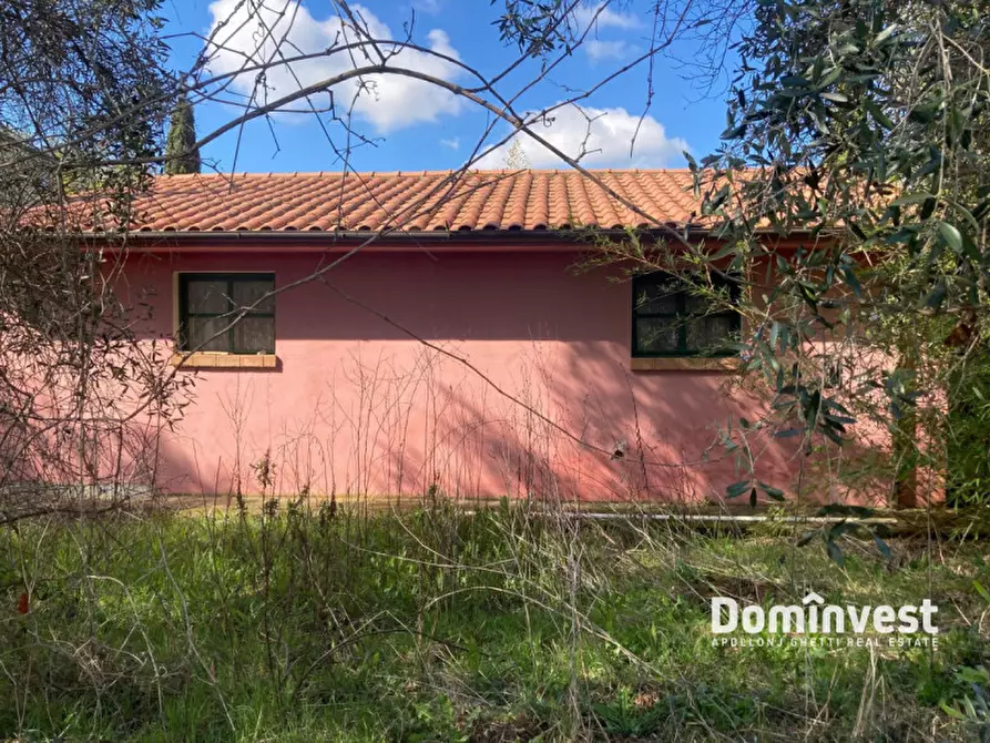 Immagine 14 di Rustico / casale in vendita  in Strada del Trentatré a Capalbio