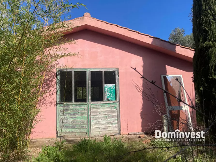 Immagine 17 di Rustico / casale in vendita  in Strada del Trentatré a Capalbio
