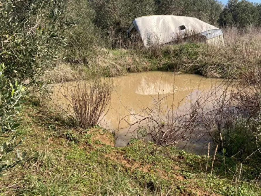 Immagine 19 di Rustico / casale in vendita  in Strada del Trentatré a Capalbio
