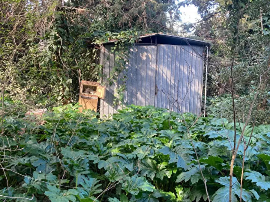 Immagine 22 di Rustico / casale in vendita  in Strada del Trentatré a Capalbio