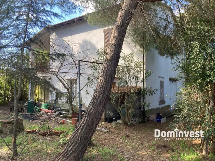 Immagine 23 di Rustico / casale in vendita  in Strada del Trentatré a Capalbio