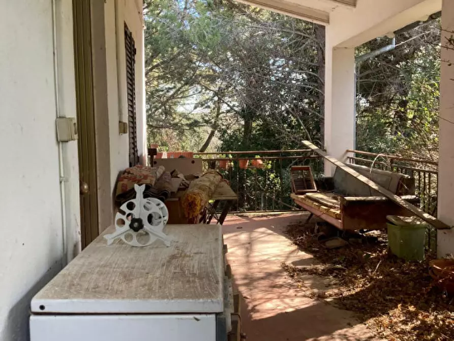 Immagine 28 di Rustico / casale in vendita  in Strada del Trentatré a Capalbio