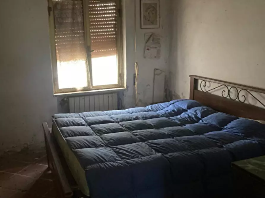 Immagine 31 di Rustico / casale in vendita  in Strada del Trentatré a Capalbio