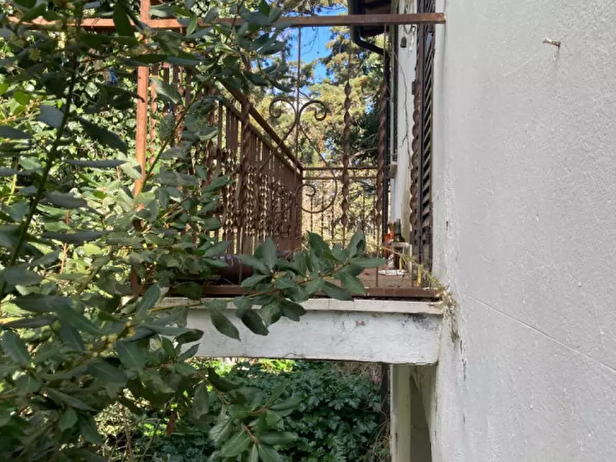 Immagine 43 di Rustico / casale in vendita  in Strada del Trentatré a Capalbio