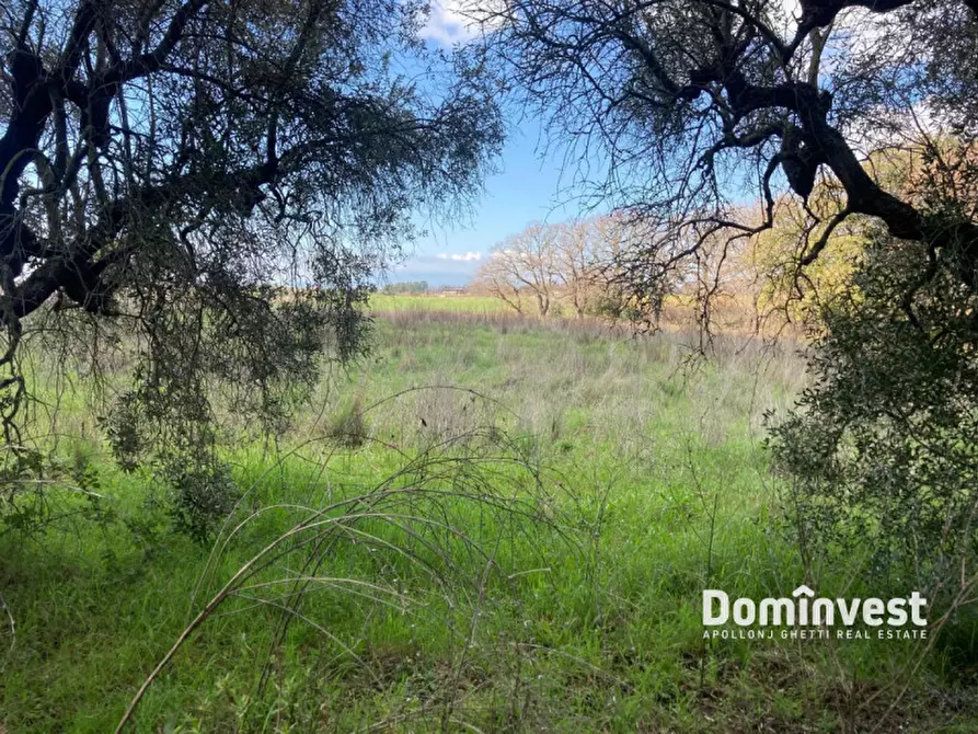 Immagine 44 di Rustico / casale in vendita  in Strada del Trentatré a Capalbio