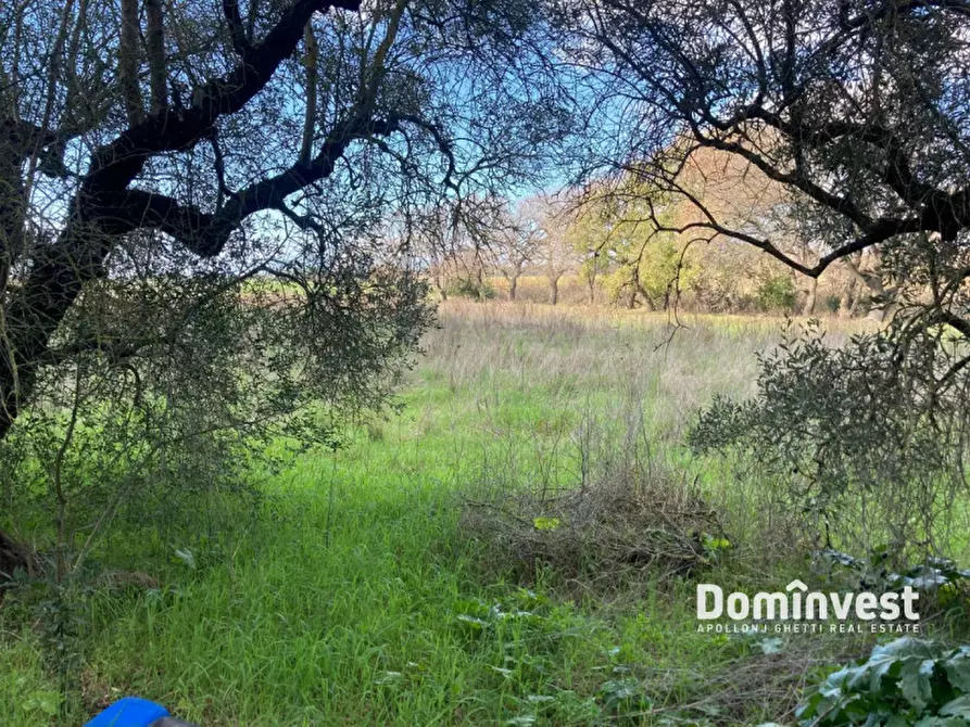 Immagine 45 di Rustico / casale in vendita  in Strada del Trentatré a Capalbio