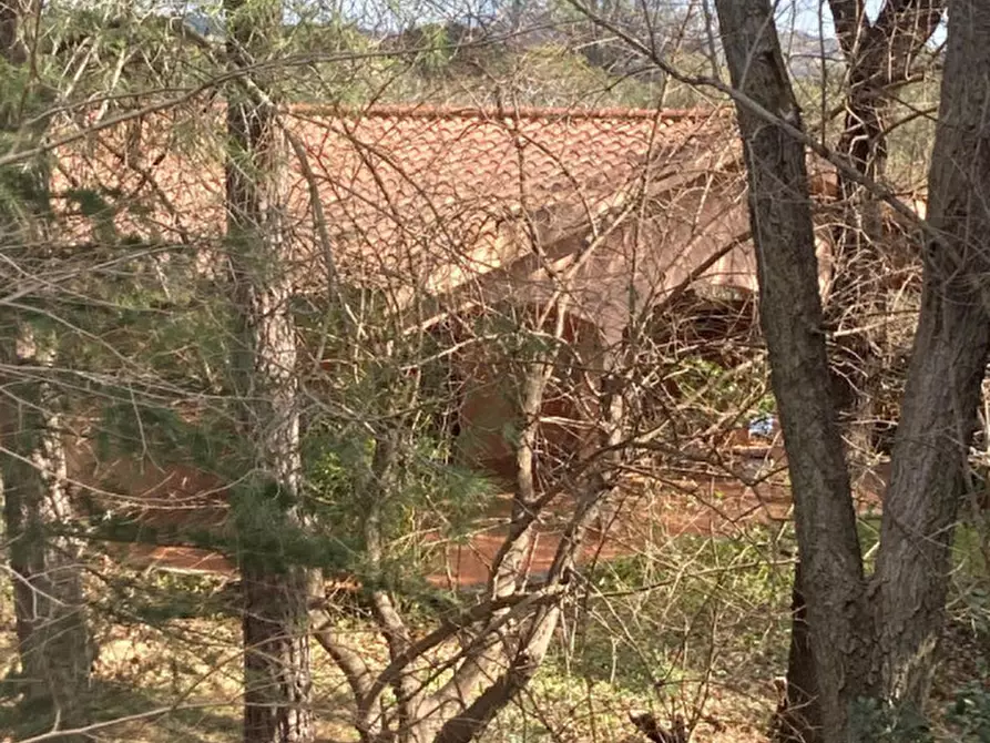Immagine 46 di Rustico / casale in vendita  in Strada del Trentatré a Capalbio