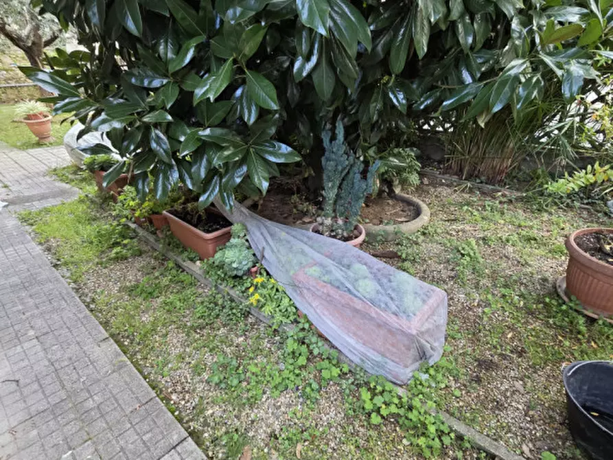 Immagine 51 di Casa bifamiliare in vendita  in Via Castruccio Castracane a Lastra A Signa