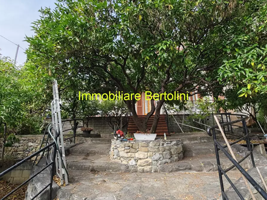 Immagine 16 di Casa bifamiliare in vendita  in VIA ROMANA a Bordighera