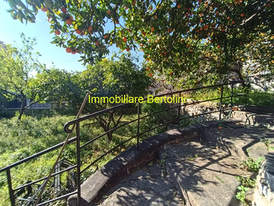 Immagine 24 di Casa bifamiliare in vendita  in VIA ROMANA a Bordighera